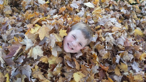 Leaf pile
