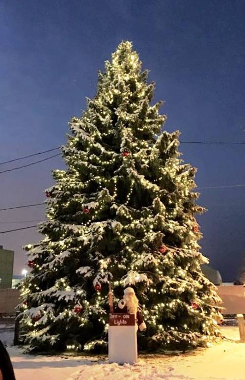 Christmas tree lighting 2015