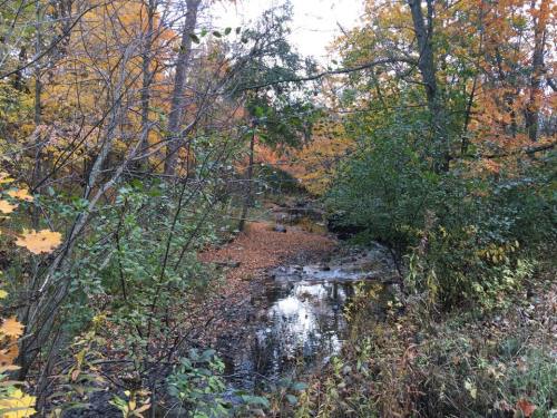 Oak Creek Parkway fall