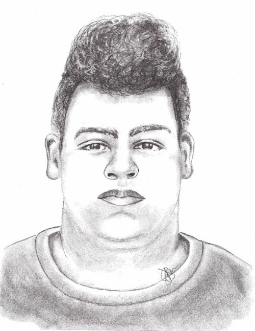 Assault suspect sketch