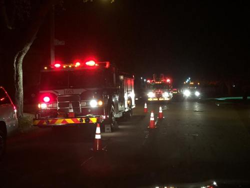 14993336_1253900807982628_1534154894559511112_n