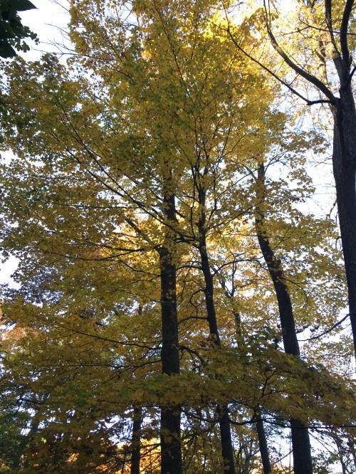 16772524-0638-474B-98CD-9ACB8517CAD7