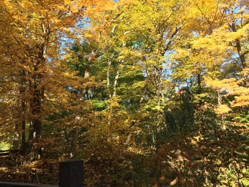 8FC74907-3AC5-4B49-816E-EDAFE64D2314