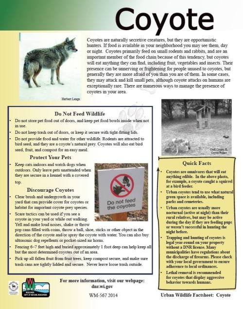 27072961_1670859212952150_856565169509022739_n