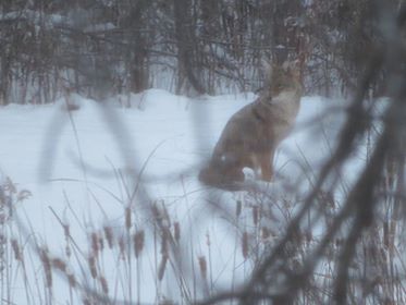 27497499_10210986564002566_889539462_n