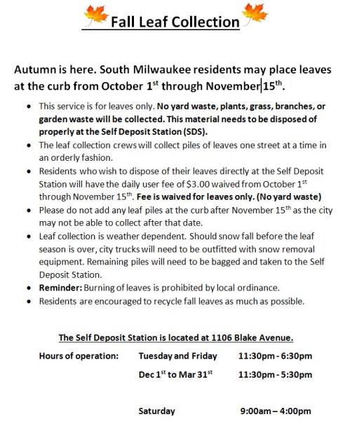 Fall leaf collection