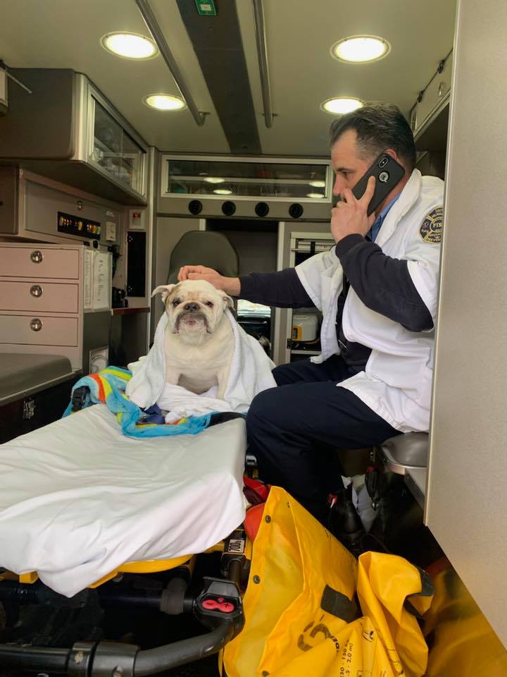 83830843_2858091380896888_6004473698394832896_n